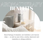 Elegance Nebulizing Essential Oil Diffuser for Aromatherapy by Organic Aromas - Light-Colored Wood Base and Glass Reservoir