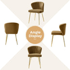 TINA'S HOME Velvet Dining Chairs Set of 2, Modern Upholstered Side Chair with Golden Legs, Small Cute Armless Accent Chair for Living Room, Kitchen, Bedroom, Beauty Room, Golden