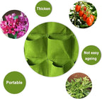 WFIST Vertical Hanging Planter Bag, Breathable Felt Wall Garden Planter with Metal Grommets, Indoor/Outdoor Space-Saving Herb & Flower Growing Pouch (6-Pocket)