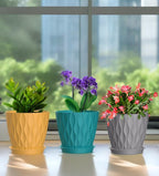 6 Inch Plant Pots, 6 Pack Indoor Flower Pots, Planters with Drainage Holes and Trays for Orchids, Violets, Succulents, Herbs, and Other Plants,Corolful