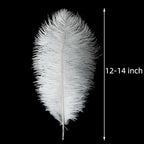 Ballinger Large White Ostrich Feathers - 24Pcs 12-14inch Large Feathers for Vase,Party Centerpieces,Wedding and Home Decor