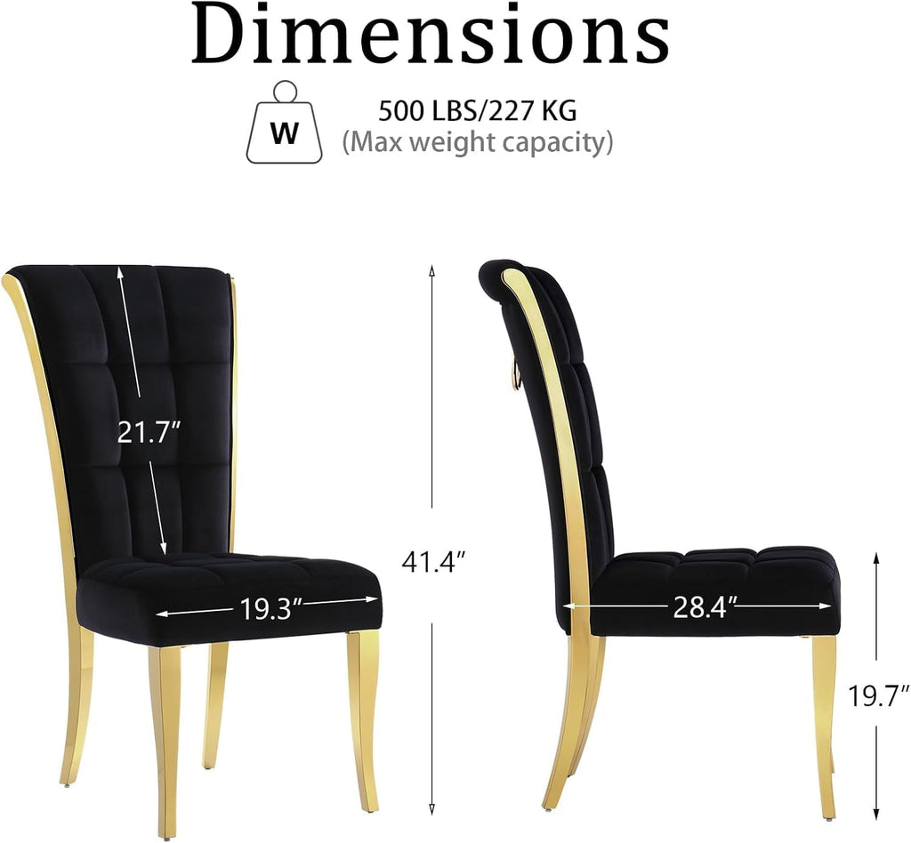 ACEDÉCOR Black and Gold Dining Chairs, Black Velvet Upholstered Chairs with Ring Pull, High Back Dining Chairs with Polished Gold Legs(Set of 2)