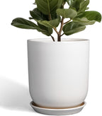 Pots for Plants - 10 Inch Ceramic Plant Pot with Drainage Hole and Saucer Large Planter for Plants Indoor Outdoor Modern Flower Pot for Home Decor White