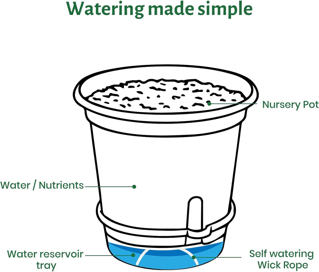 20 Pack 5 Inch Clear Self Watering Plant Pots with Bottom Water Tray & Watering Rope, Transparent Nursery Pots with Drainage for Seedlings, Herbs, and Houseplants
