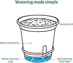 20 Pack 5 Inch Clear Self Watering Plant Pots with Bottom Water Tray & Watering Rope, Transparent Nursery Pots with Drainage for Seedlings, Herbs, and Houseplants