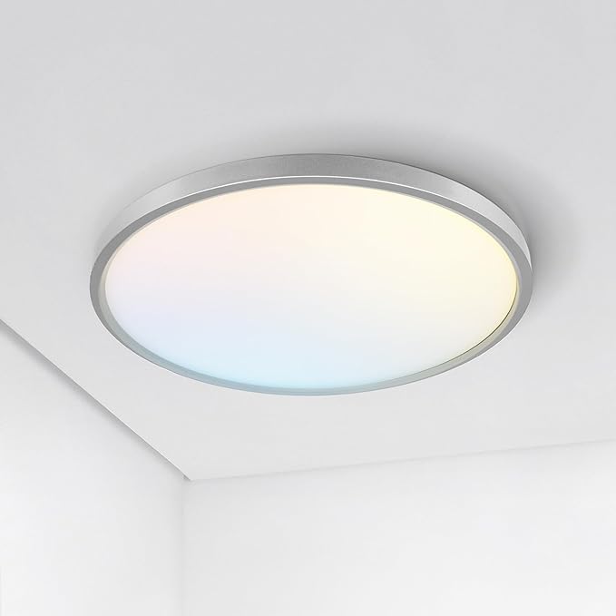 ASD LED 12" Round Flush Mount Ceiling Light Fixture, Low Profile Surface Lighting | 5CCT, Dimmable, Ultra-Thin, ETL Listed | 24W 1900LM 2700-6000K 120V | Kitchen, Bedroom, Hallway Lamp | Nickel