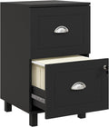 HOMCOM Vertical Filing Cabinet with 2 Drawers Lockable File Cabinet Black | Adjustable Hanging Bars, for A4 and Letter, for Home Office