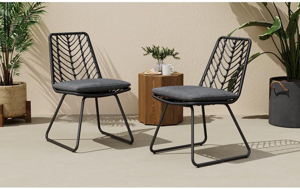Saiveina Deja Chair,2PCS with 2 Cushions,Gray