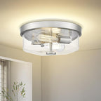 Brushed Nickel Flush Mount Ceiling Light, 2-Light Hallway Light Fixtures, Modern Farmhouse Farmhouse Ceiling Light Clear Glass for Kitchen Porch Entryway Indoor Outdoor