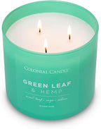 Colonial Candle Green Leaf & Hemp Scented Jar Candle, Pop of Color Collection, 3 Wick, Green, 14.5 oz - Up to 60 Hours Burn
