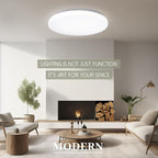 Hamilyeah 20 inch Ceiling Light Flush Mount 48W, Dimmable LED Ceiling Light Fixture, Simple Close to Ceiling Light 5CCT for Living Room, Dining Room, Bedroom, Hotel, Office