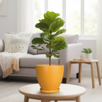 Ceramic Plant Pot - 8 Inch Planter for Indoor Outdoor Plants, Round Flower Pots with Drainage and Tray, Home Office Decor, Orange