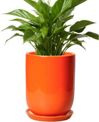 Ceramic Planter - 8 Inch Plant Pot with Drainage Hole and Saucer, Cylinder Round Modern Flower Pot for Indoor Outdoor Plants, Plant Lover Gifts, Garden Office Home Decor, Orange