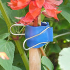 Reusable Plant Clips Made in USA – Orchid Clips, Plant Support Clips & Cord Clips – Heavy-Duty, Weather-Resistant & Durable – Secure Stems, Vines, Wires, Cables, Tomato Plants– Indoor & Outdoor