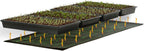 Hydrofarm Jump Start MT10009, 107 Watt UL Certified Seedling, 48"x20" Heat Mat, Jumpstart