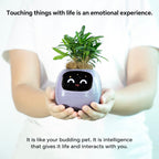 Smart Pet Planter, Smart Plant Pot, With Artificial Intelligence, Time Weather Display, And Multiple Expressions Animation,Lovely Plant Companion, For Desktop Decoration, Gifts,Plant-Free (Pink)