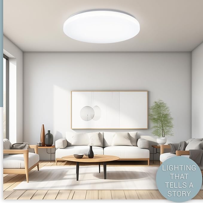 Hamilyeah 20 inch Ceiling Light Flush Mount 48W, Dimmable LED Ceiling Light Fixture, Simple Close to Ceiling Light 5CCT for Living Room, Dining Room, Bedroom, Hotel, Office
