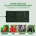 Upgrade Version 2PK Seedling Heat Mat with ETL Listed,Warm Hydroponic Heating Pad for Seed Starting,Indoor Gardening,Brewing and Greenhouses,Durable Waterproof Black Plant Heat Mat