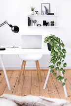 Artificial Pothos Ivy Plant with Pot Artificial Light Green Leaves Featuring for Home Shelf Decor Indoor Silk Artificial Plant Large