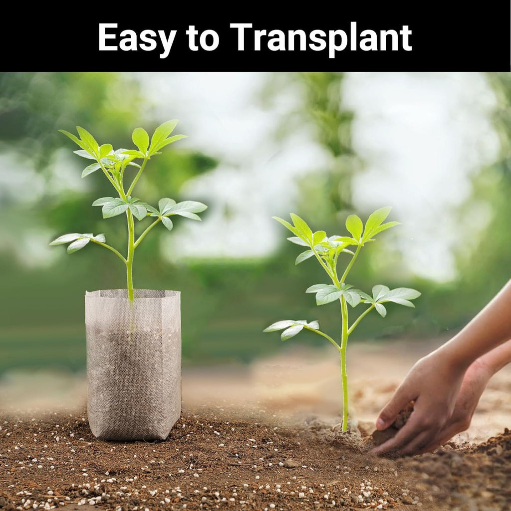 Non-Woven Nursery Bags, 200PCS 5x6 inch Fabric Planter for Plants Tree Seedling, Seed Starting Soil Transplant Pouches, Plant Grow Bags for Cutting Clones Home Garden Supply