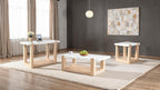 Modern Contemporary 3 Piece Table Set, Faux Marble Top Coffee Table End Table & Sofa Table