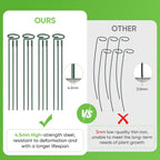 36 Inch Plant Stakes Tall, Three Sizes(12 or 24 or 36 Inch) Plant Support Stakes for Outdoor or Indoor,Garden Plant Stakes for Flowers Amaryllis Tomato Lily Peony Rose Flower Narcissus (4 Set)
