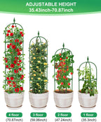 Garden Trellis for Climbing Plants Outdoor & Indoor - 2 Pack 6Ft Tall Rustproof Plant Support Cage for Vines, Flowers, Vegetables, Roses | Heavy-Duty, Adjustable & Decorative