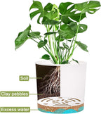 QCQHDU 5 inch Plant Pot, 2 Pack Planters for Indoor Plants with Drainage Holes & Saucer, Outdoor Flower Pots Home Garden Modern Decor