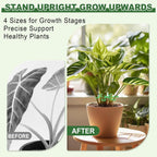 32pcs Plant Stem Support, Plant Support for Indoor Plants, 4 Sizes Climbing Houseplant Stem Holders, Reusable Plant Stabilizer, Indoor Plants Accessories