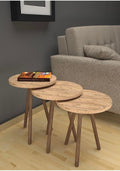 3 Piece Round Nesting Side Table Set - Hobistan Modern Style Wood Legs Coffee & Display Table - Atlantic Pine Wood Top - 13.4 x 13.4 x 19.3 in (Largest) - Versatile Home Decor - Atlantik Çam