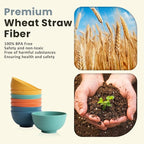 Homienly Wheat Straw Small Bowls, Unbreakable Dessert Bowls set of 8, 10 OZ Mini Bowl for Kitchen, Microwave and Dishwasher Safe Small Bowl for Snack, Ice Cream, Yogurt,Portion Control - Multi, Matte