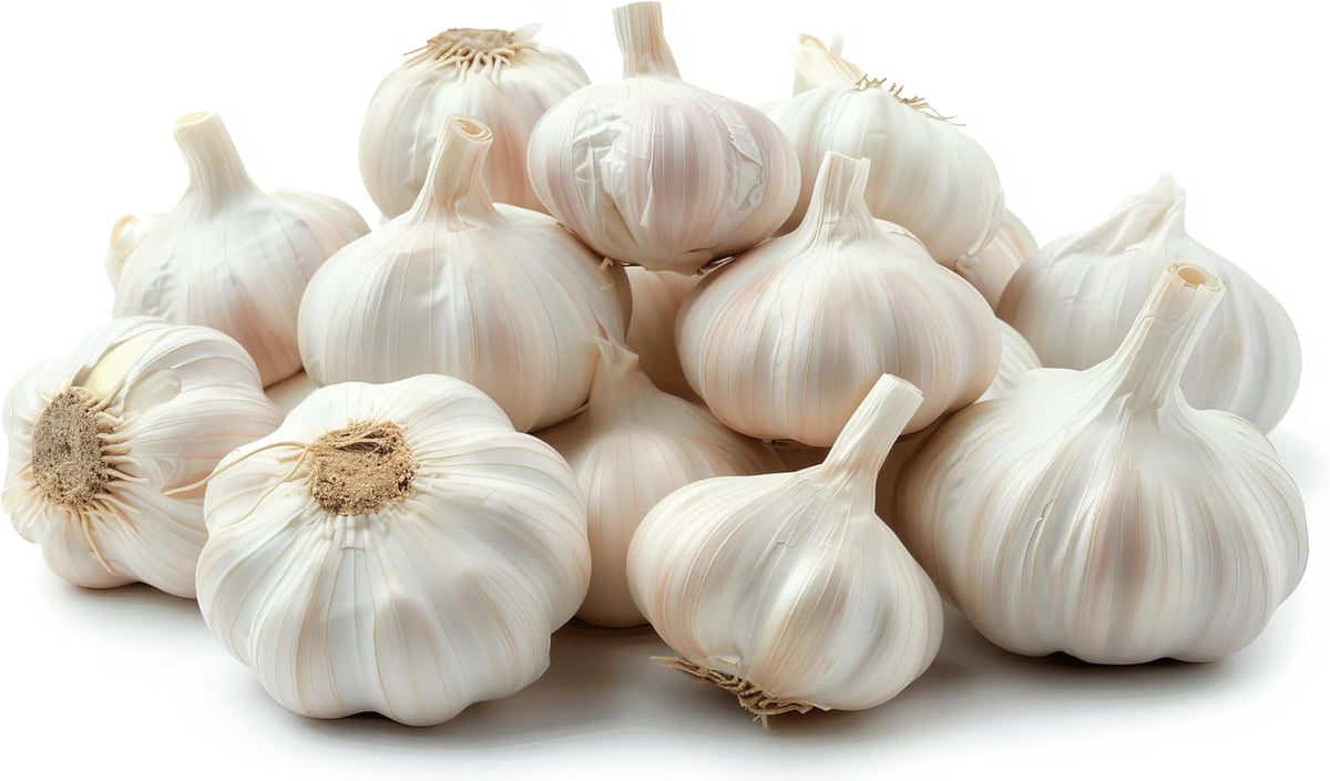 Garlic Bulbs for Seed - Fresh California SOFTNECK Garlic for Planting - Grow Your Own Garlic (5 Bulbs)