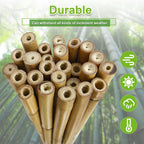 10pcs 1" D Thicker Heavy Duty Bamboo Stakes, 8FT Plant Stakes, Natural Garden Stakes for Tomato, Bean, Flowers,Trees Potted and Climbing Plant Support