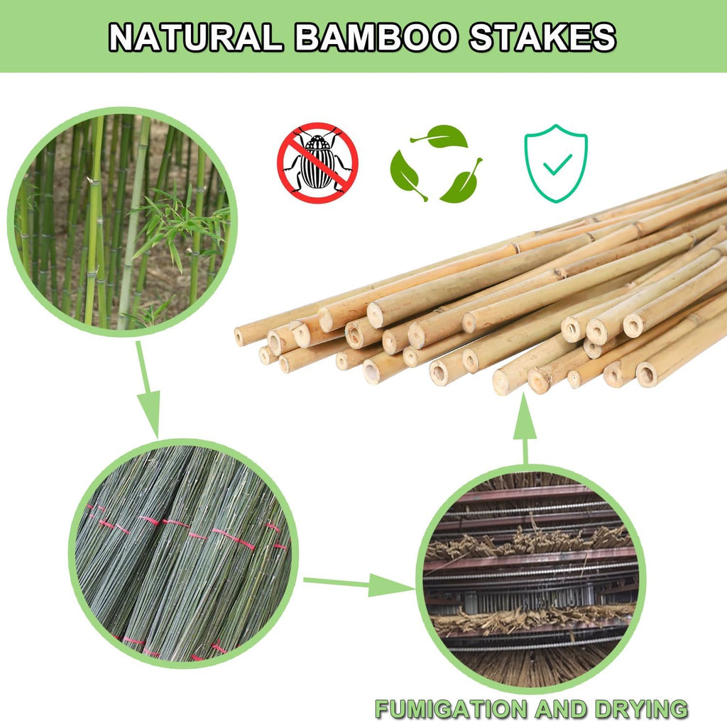 Bamboo Plant Stakes – 25pcs 4FT Natural Bamboo Garden Stakes for Tomatoes, Peppers, Beans, Indoor & Outdoor Plants, Sturdy Plant Support for Seedlings & Potted Plants