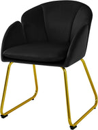 Yaheetech Upholstered Petal Dining Chair, Modern Velvet Bucket Dining Chair with Curved Back and Gold Metal Legs for Dining Room/Kitchen, Black