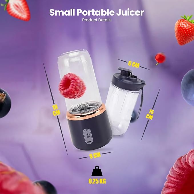 Regalosonline Portable Blender - 10 Oz Smoothie USB Charge Mini Blender BPA Free for Shakes and Smoothies with 6 Blades