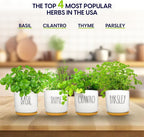 Deluxe Ceramic Indoor Herb Kit 4 Set. Variety Herbs for Indoor & Outdoor – Get Growing with Pots, Potting Soil for Window Herb Garden. (Ceramic Edition)