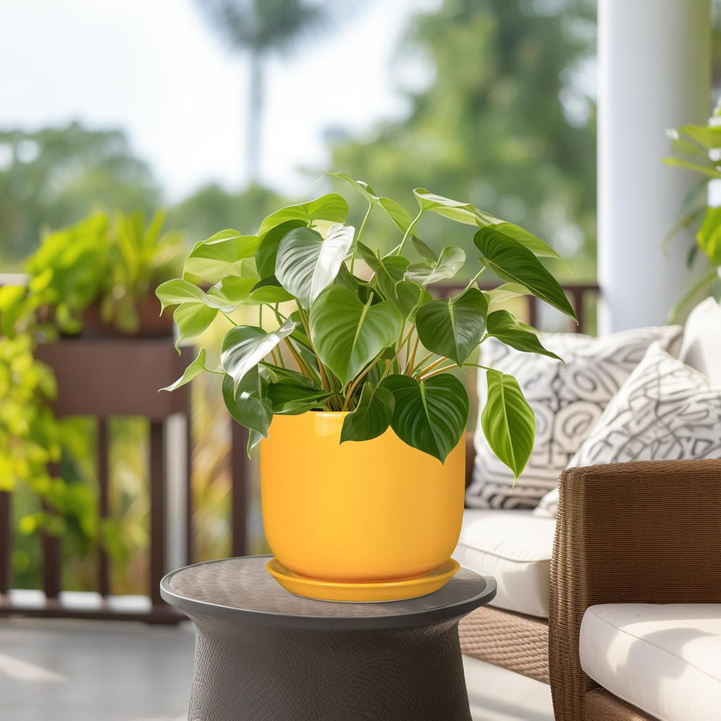 Ceramic Plant Pot 8 Inch - Decorative Modern Round Indoor Planter for Plants Flowers with Drainage Hole and Saucer, House Desk Office Home Decor, Yellow