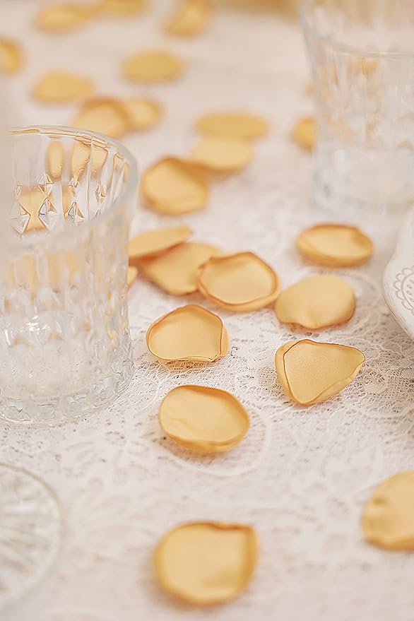 TINGE TIME Silk Rose Petals Flower Petals for Wedding Flower Girl Basket Aisle Scatter Dinner Table Centerpieces Party Confetti Bridal Shower Romantic Night Decoration (Champagne)