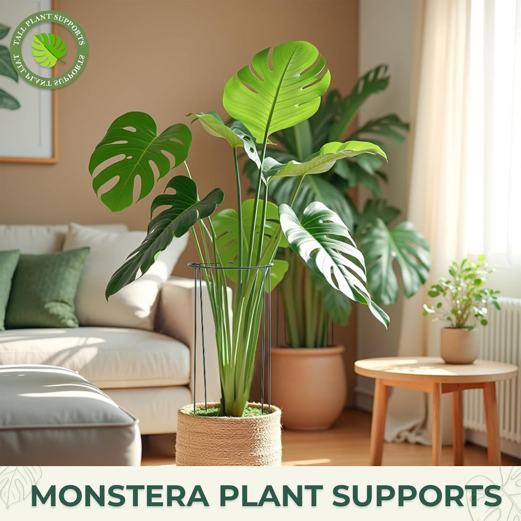LEOBRO Plant Support, 8 PCS Peony Cages and Supports, Plant Stakes, Plant Supports for Indoor Plants, Outdoor Plants, Monstera Hydrangea Support Cage, 10" W x 24" H
