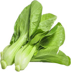 All Year Round Organic Chinese Cabbage Seeds, 1000pcs, Non-GMO, High 95% Germination, Perfect for Every Season