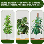 Moss Pole, 2Pack 21 Inch Plant Support Stakes for Indoor Plants, Monstera Plant Support Stakes, 37 Inch Tall Coir Plant Pole Sticks for Potted Plants, Pothos, Philodendron