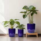10 Inch Plant Pot - Ceramic Pot for Indoor Plants Large Planter Modern Outdoor Flower Pot with Drainage Hole and Saucer for Home Patio Decor Blue