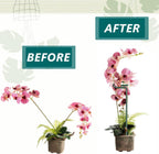 MAFONE 6 Pack 24inch Plant Support Stakes,Plant Stick for Two Sizes(12 or 24Inch) Garden Single Stem Flower Support Stake Plant Cage Support with 20pcs Clips and Plant Ties for Tomato Orchid Lily
