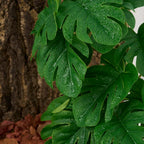 Reptile Plants for Terrarium, Amphibian Habitat Decor Artificial Hanging Plants with Suction Cup - Fake Monstera
