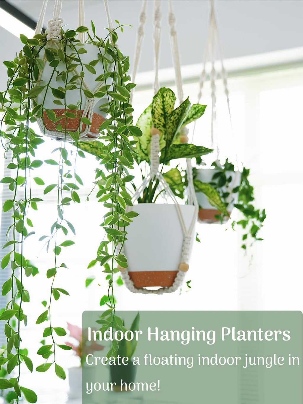 Bouqlife 3 Set Self Watering Hanging Planters for Indoor Plants