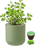 Hydroponic Herb Growing Kit, Self-Watering Kitchen Herb Garden Starter Kit with Green Ceramic Pot and Seeds (Oregano)