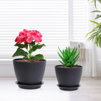 7/6.2/5.5/5/4.5/4 inch Flower Pots, 6 Pack Plant Pots for Small Indoor Outdoor Plants, Plastic Planters with Drainage Holes and Saucers for Garden Succulent House Plants, Black