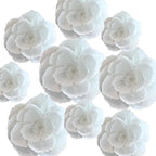BRT Bearingshui Crepe Paper Flowers Decoration for Wall Total 9 Pcs, Artificial Flowers for Wedding Decor,Flower Backdrop Decor, Baby Bridal Shower Birthday Party, White 3D Wall Flowers Decor
