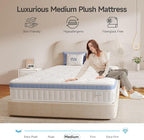 Queen Mattress 10 Inch, Hybrid Mattress Plush in a Box,Individual Pocket Spring Queen Size Bed with Breathable Memory Foam, Pressure Relief, Medium Firm Back Support for Adults